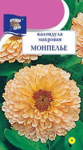 Календула Монпелье махровая  купить