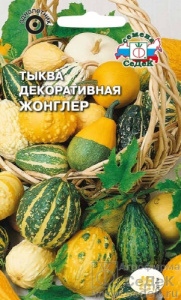 Тыква Жонглер (декоративная)  купить