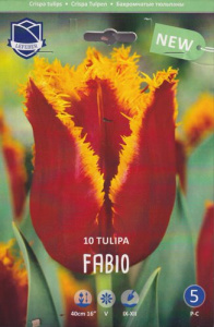Тюльпан бахромчатый "Fabio" (1х10шт) купить