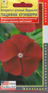 Катарантус розовый (Барвинок) Пацифик Крэнберри  купить