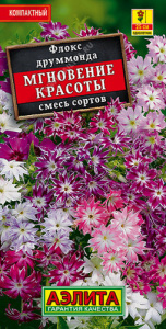 Флокс Мгновение красоты, смесь  купить