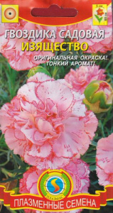 Гвоздика Изящество садовая купить
