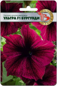 Петуния Ультра  Бургунди F1  крупноцветковая купить