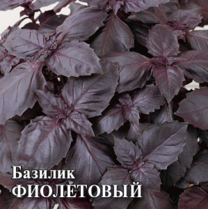 Базилик Фиолетовый 10г Проф купить