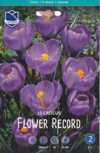Крокус vernus "Flower Record" (1х10шт) купить