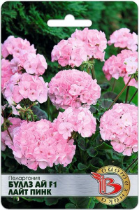 Пеларгония садовая Буллз Ай F1 Лайт Пинк купить