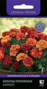 Бархатцы Файрбол откл. купить