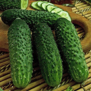 Огурец Паратунка F1 (1000шт) купить