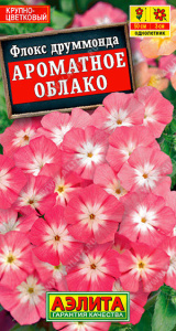 Флокс Ароматное облако крупноцветковый купить