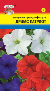 Петуния Дримс Патриот купить