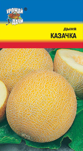Дыня Казачка  купить