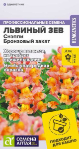 Львиный зев Снэппи Бронзовый закат  купить