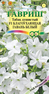 Табак Благоухающая гавань белая F1 душистый купить