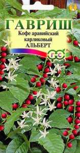 Кофе аравийский карлик Альберт  купить