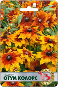 Рудбекия Отум Колорс  купить