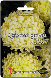 Астра Старый замок селект Золотой  купить