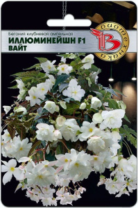 Бегония Иллюминейшн F1 Вайт клубневая ампельная  купить
