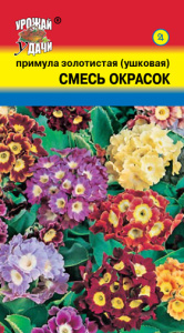 Примула золотистая (ушковая) Смесь Окрасок  купить