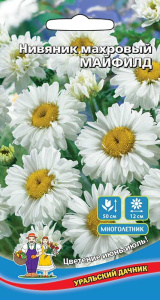 Нивяник Майфилд махровый  купить