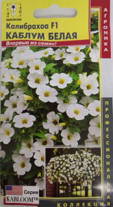 Калибрахоа F1 Каблум Белая купить