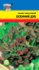 Салат Осенний Дуб дуболистный  купить