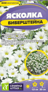 Ясколка Биберштейна 