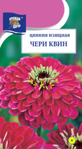 Цинния Чери Квин  купить