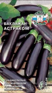 Баклажан Астраком  купить