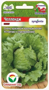 Салат Челлендж Сингента купить