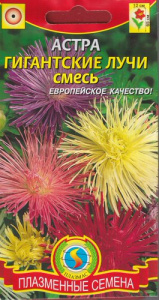 Астра Гигантские Лучи, смесь  купить