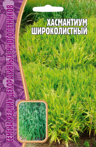 Хасмантиум Широколистный купить