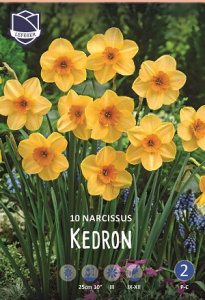 Нарцисс jonquilla "Kedron" (1х10шт) купить