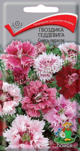 Гвоздика Геддевига Смесь окрасок 0.1г купить