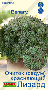 Очиток краснеющий Лизард (Седум) купить