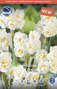 Нарцисс махровый "The Bride" (1х5шт) купить