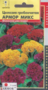 Целозия гребенчатая Микс  купить