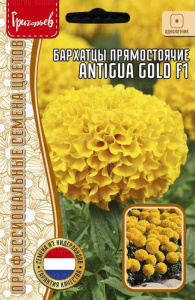 Бархатцы Антигуа F1 Голд купить