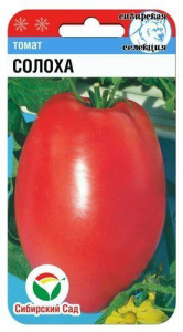 Томат Солоха  купить