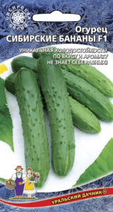 Огурец Сибирские Бананы F1 купить