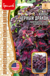 Колеус Чёрный Дракон купить