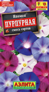 Ипомея Пурпурная, смесь  купить