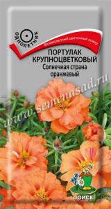 Портулак Солнечная страна оранжевый крупноцветковая купить