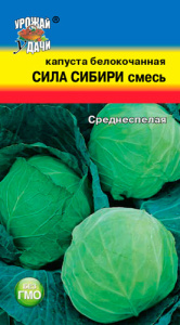 Капуста СИЛА СИБИРИ, смесь среднеспелых купить