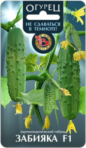 Огурец Забияка F1 купить