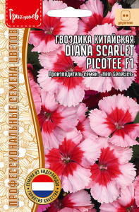 Гвоздика Диана Скарлет Пикоти (Diana Scarlet Picotee) купить