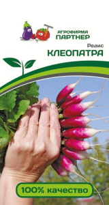 Редис Клеопатра  купить