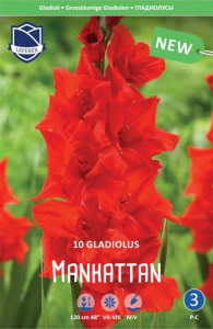 Гладиолус XXL Manhattan 14/16 (1х10шт) купить