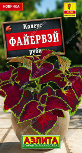 Колеус Файервэй руби Мн Sakata купить