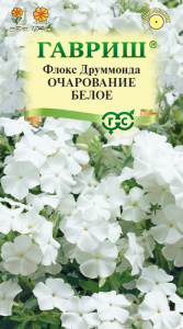 Флокс Очарование белое друммонди купить
