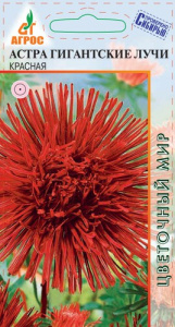 Астра Гигантские Лучи Красная купить